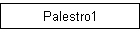 Palestro1
