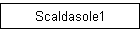 Scaldasole1