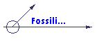 Fossili...