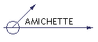 AMICHETTE