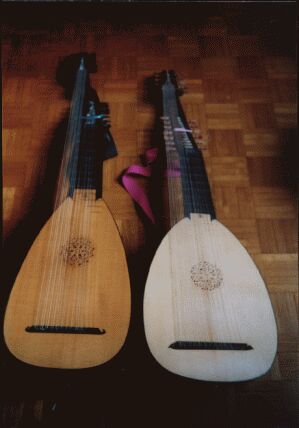 Lute and archlute