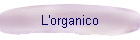 L'organico