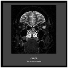 WMDA037 - CLOAMA: "Neuroscan Organization" pictures
