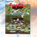 The Spirit of Feng Shui by David Sun