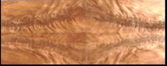 crotch of  mahogany veneer