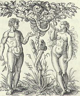Adamo ed Eva sotto l'albero del male, Anonimo  XVI sec.