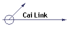 Cai Link