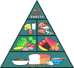 la piramide dell'alimentazione