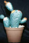 cactus.jpg (42729 byte)