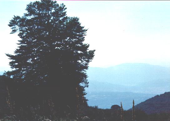 Vista dalla Montagna della Duchessa