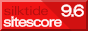 Website score from Silktide SiteScore