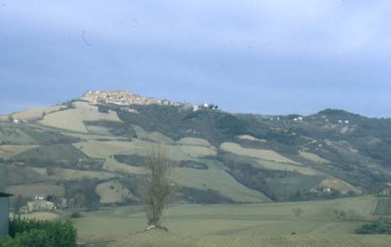 Panorama towards Montedinove