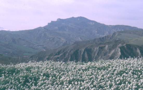 The "Monte dell'Ascensione"