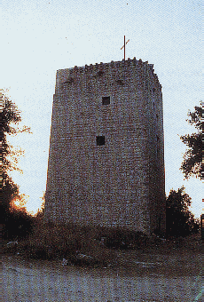 Torre di Castiglione (45128 byte)