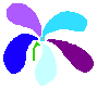 fiori azzurro-violacei