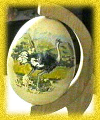 Ritratto di struzzo su uovo con incastonatura in una mezza luna di legno.