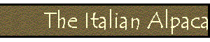 The Italian Alpaca