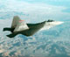 caccia F-22 in volo visto di tre quarti posteriore