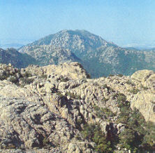 Monte Arcosu: l'Oasi WWF pi estesa d'Italia