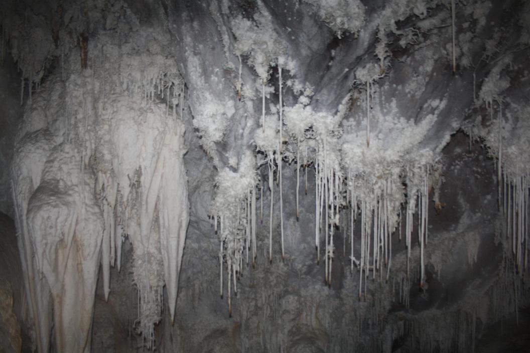 Sala Vergine (Grotta di Su Mannau), Quelle: http://web.tiscali.it/grottadisumannau/
