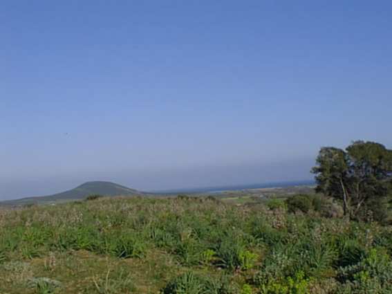 Panorama Orvile