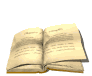 book_page_flip_md_wht.gif (8204 byte)