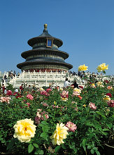 Il Tempio del Cielo a Beijing