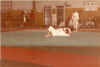 Judo Club TAN-O 062_V.jpg (70723 byte)