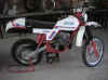 KTM 350 1981 Massimo Gr..jpg (80486 byte)