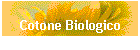 Cotone Biologico