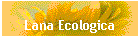 Lana Ecologica