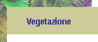 Vegetazione