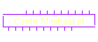 Centri Minibasket