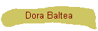 Dora Baltea
