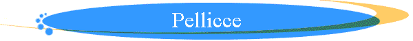 Pellicce
