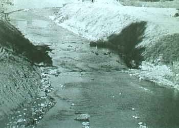 Il Torrente Cerfone ridotto ad un canale. Distrutto sia l'habitat delle sponde che l'ecosistema del fiume. I pesci?  Scomparsi nel nulla