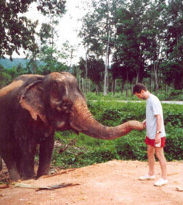 Elephant Camp, Klong Prao, Koh Chang (island), SE Thailand