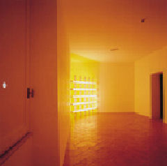 Light Installation by Dan Flavin, Villa Panza, Varese