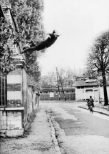 Klein. "The jump in the Void"  (1960)
