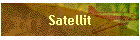 Satellit