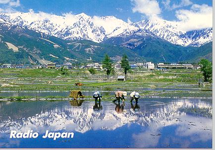 Nagano: Rice fields in flood and the North Alps