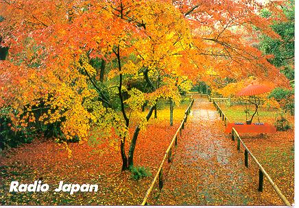 Autumn in the ancient capital, Kyoto