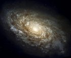 NGC4414 (  NASA)