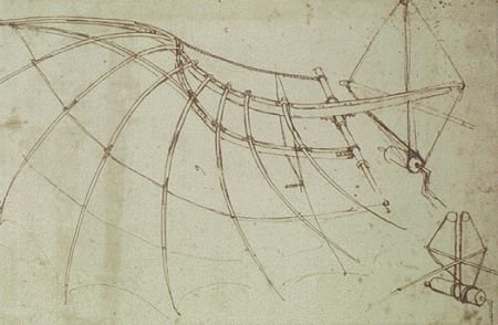 Leonardo, Struttura ala variabile