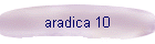 aradica 10