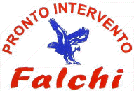 logofalchi.gif (32296 byte)