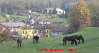 Cologna (Castello Brianza): paesaggio.