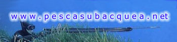 www.pescasubacquea.net
