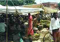 Bikaner: Un mercato.