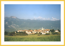 View of Sfruz in summer